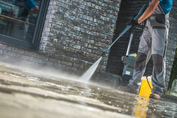 Best Soft Washing  in Burkesville, KY