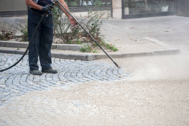Best Spring Cleaning  in Burkesville, KY