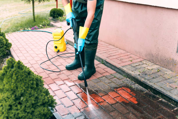 Best Solar Panel Cleaning  in Burkesville, KY